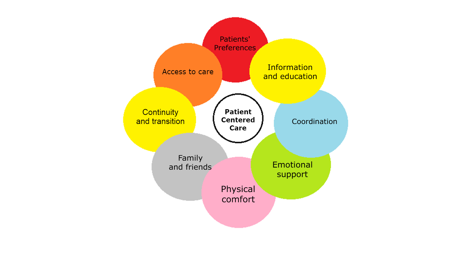 How to deliver Patient Centered Healthcare Videolab