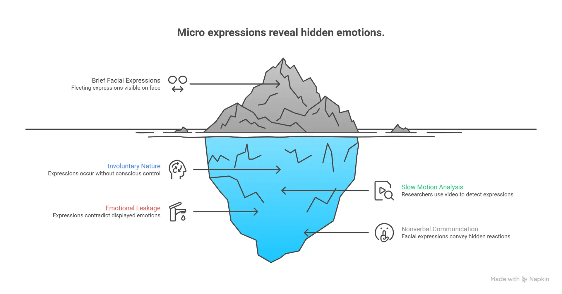 what are micro expressions